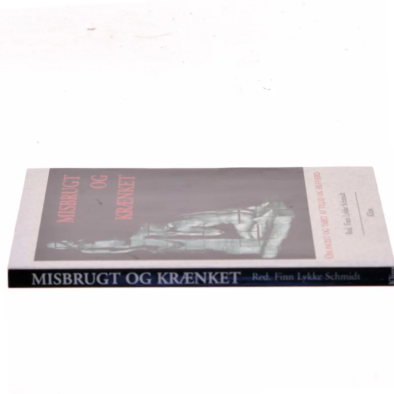 Psykologi - Misbrugt og krænket : om incest og tab af tillid og selvværd af Finn Lykke Schmidt (Bog)