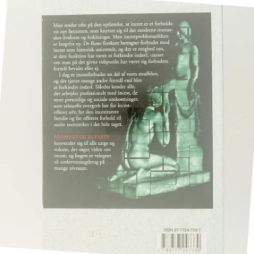 Psykologi - Misbrugt og krænket : om incest og tab af tillid og selvværd af Finn Lykke Schmidt (Bog)