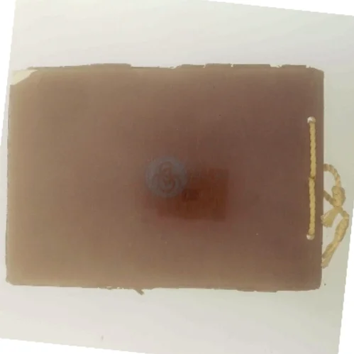 Ricordo di Venezia (Bog)