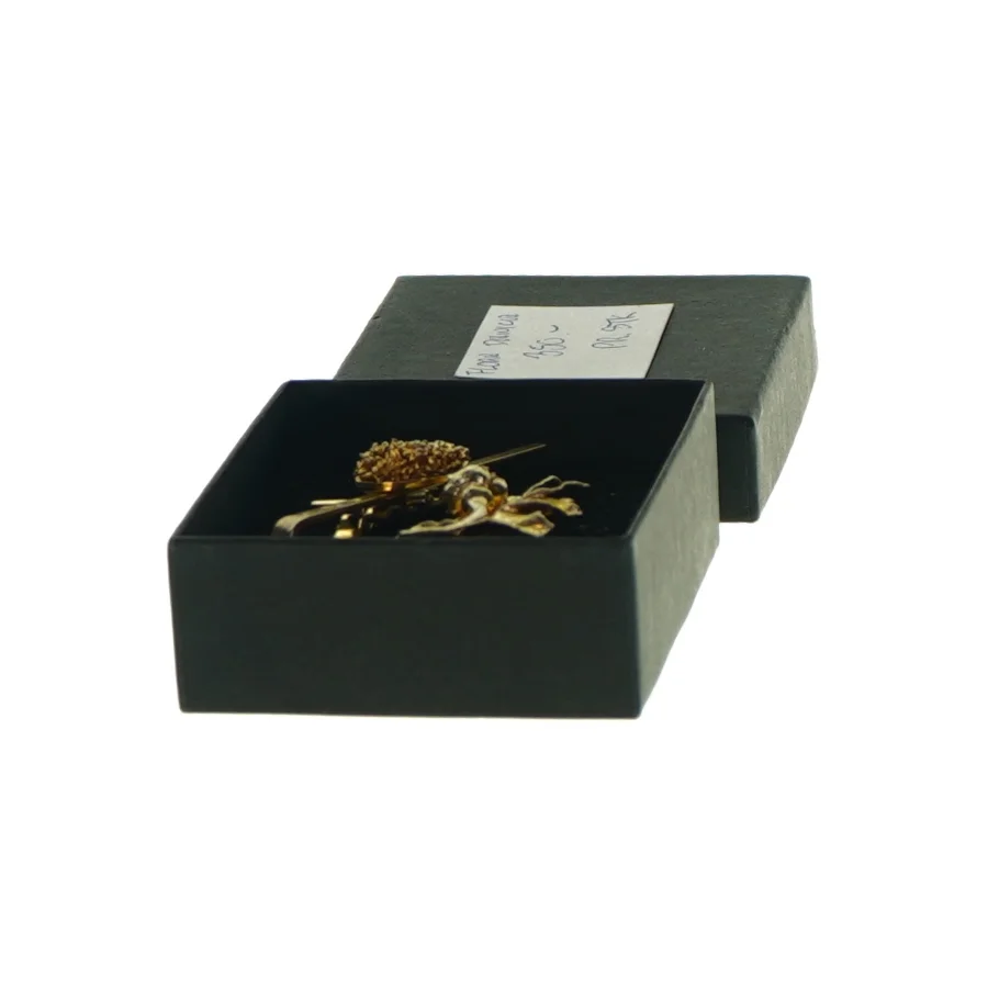 Flora Danica Slipsenål Persille samt Brosche Rosenknop  (str. 7x1x3 og 6x3 cm). 