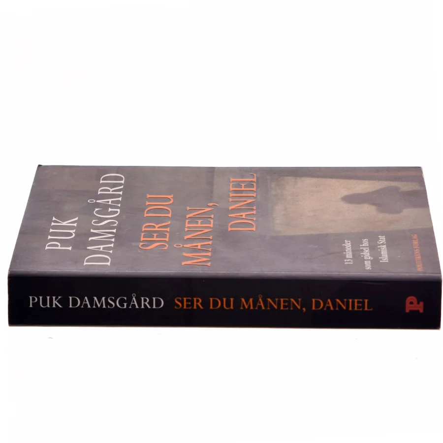 Ser du månen, Daniel af Puk Damsgård (Bog)
