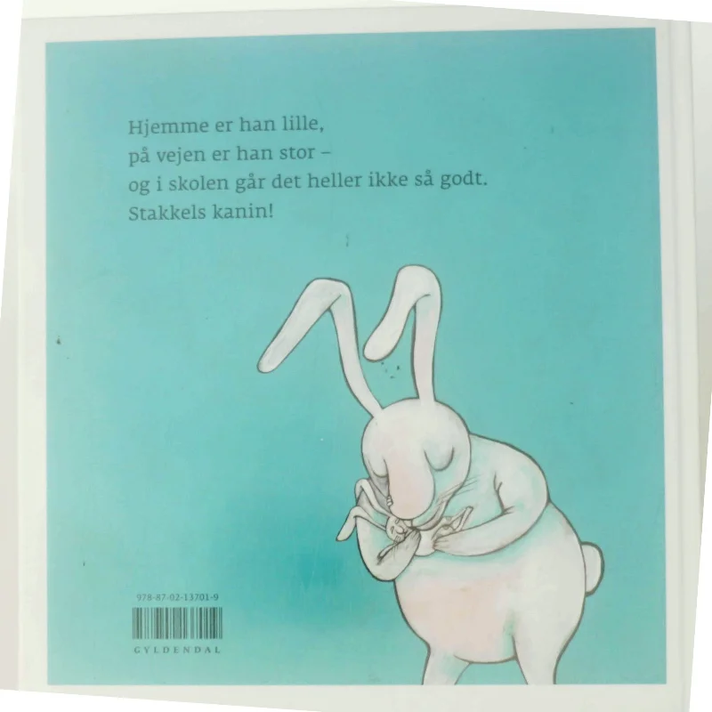 Stakkels kanin af Dorte Karrebæk (Bog)