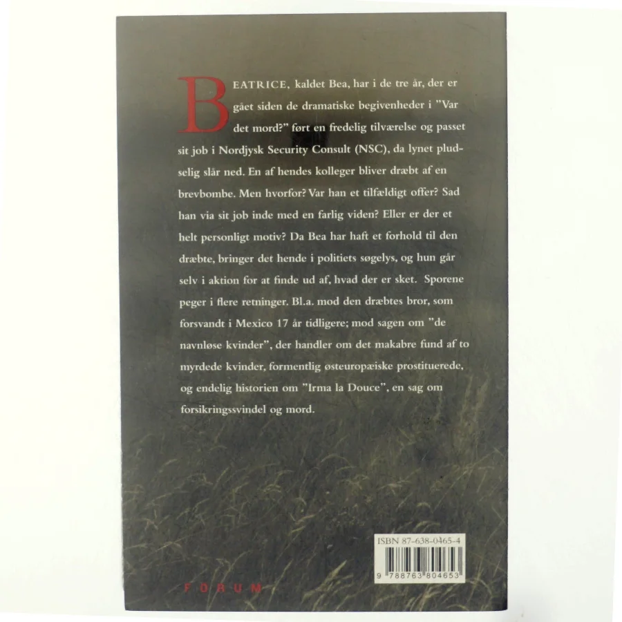 Sin brors vogter : spændingsroman af Kirsten Holst (f. 1936) (Bog)