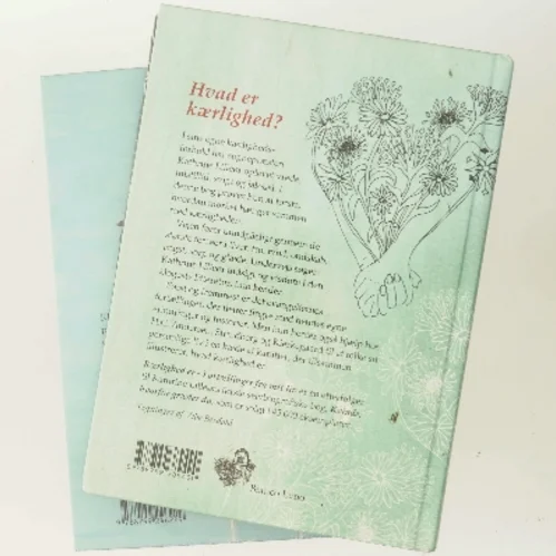 Kærlighed er : fortællinger fra mit liv af Kathrine Lilleør (Bog)