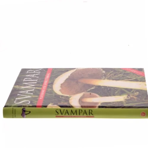 Svampar af Rebo Publishers (Bog)