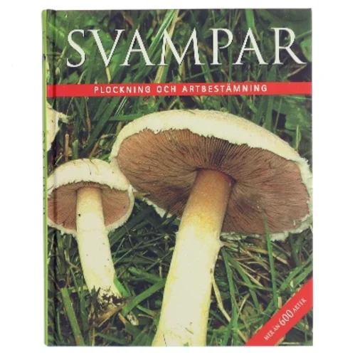 Svampar af Rebo Publishers (Bog)