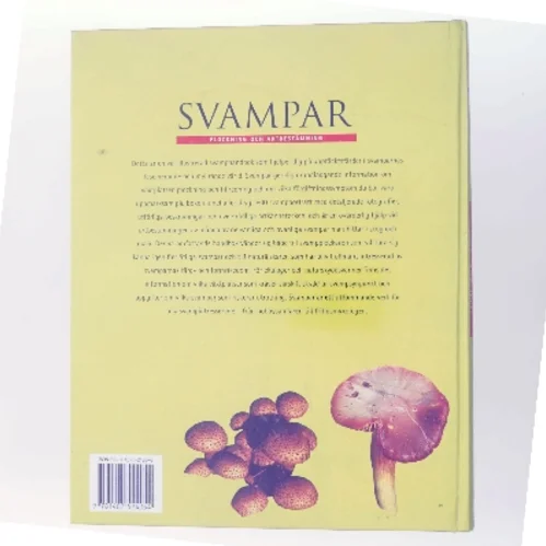 Svampar af Rebo Publishers (Bog)