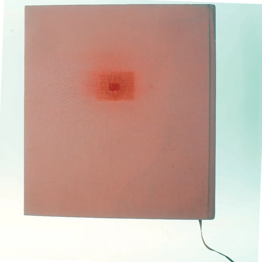 André Derain: Outsider i fransk kunst af Ukendt (Bog)