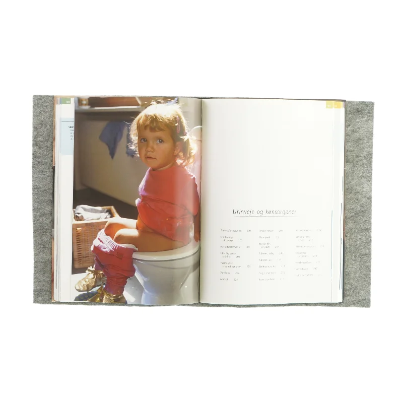 Barnets sygdomme (bog)