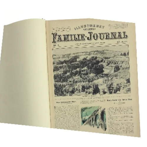 Illustreret Familie-Journal af Carl Aller (Bog)