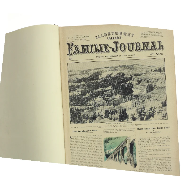 Illustreret Familie-Journal af Carl Aller (Bog)