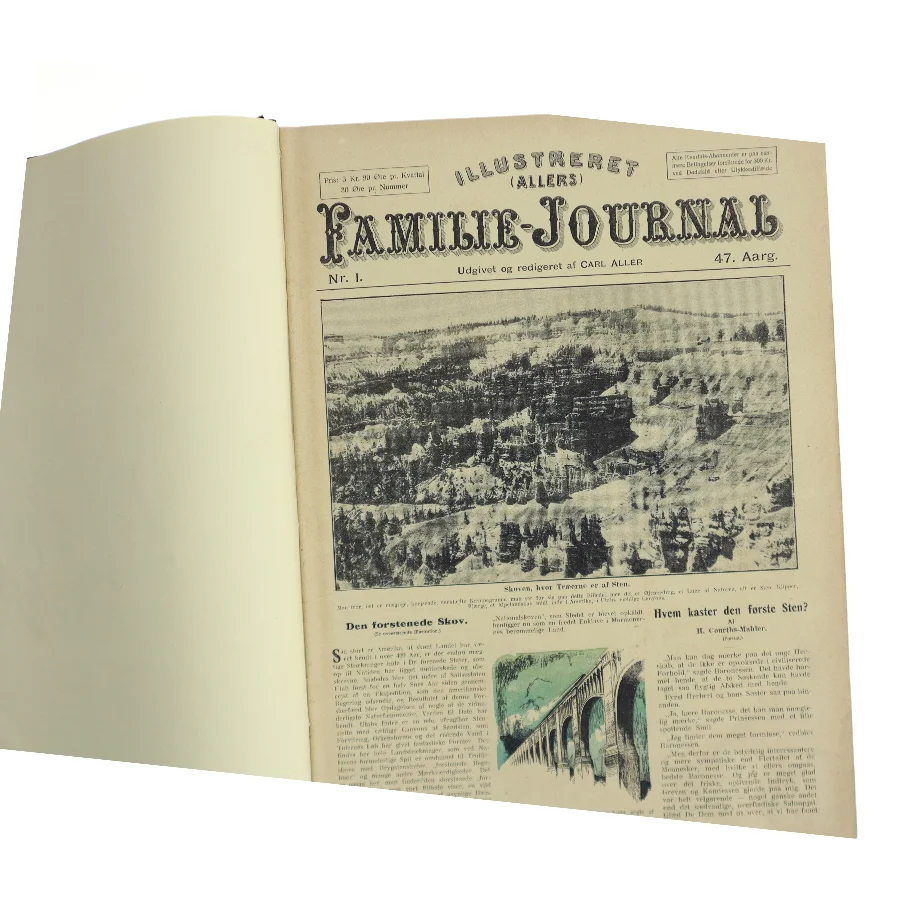 Illustreret Familie-Journal af Carl Aller (Bog)