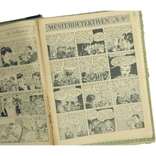 Hjemmet af Alex Raymond (Bog)