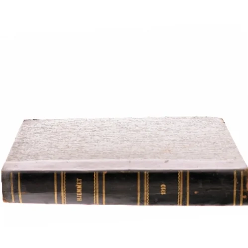 Hjemmet af Alex Raymond (Bog)