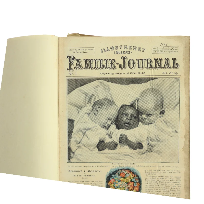 Illustreret Familie Journal (Bog)