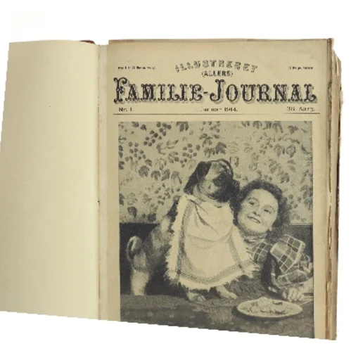 Illustreret Familie-Journal (Bog)