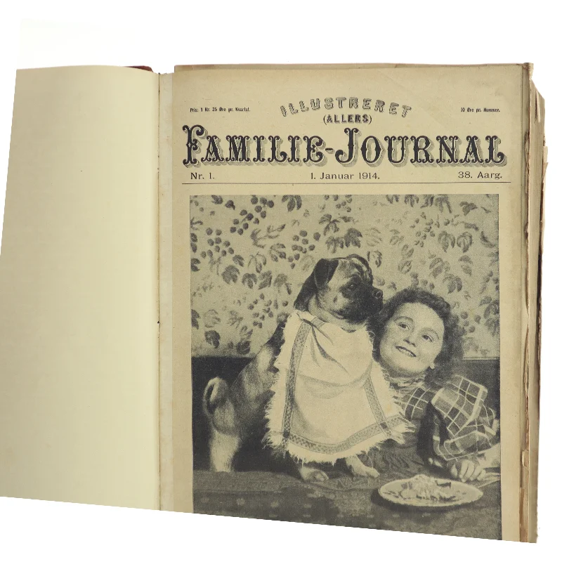 Illustreret Familie-Journal (Bog)