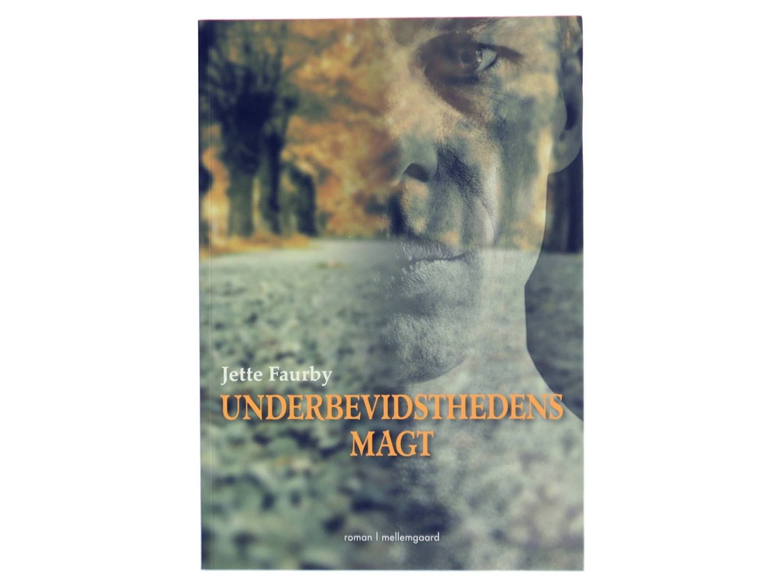 Underbevidsthedens Magt af Jette Faurby (Bog)