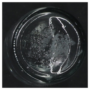 To små glasflasker (str. 11 cm. 2 styk)