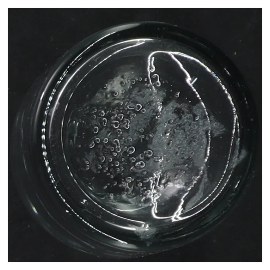 To små glasflasker (str. 11 cm. 2 styk)