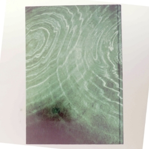 Stenhuggeren af Camilla Läckberg (Bog)