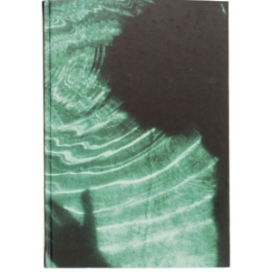 Stenhuggeren af Camilla Läckberg (Bog)