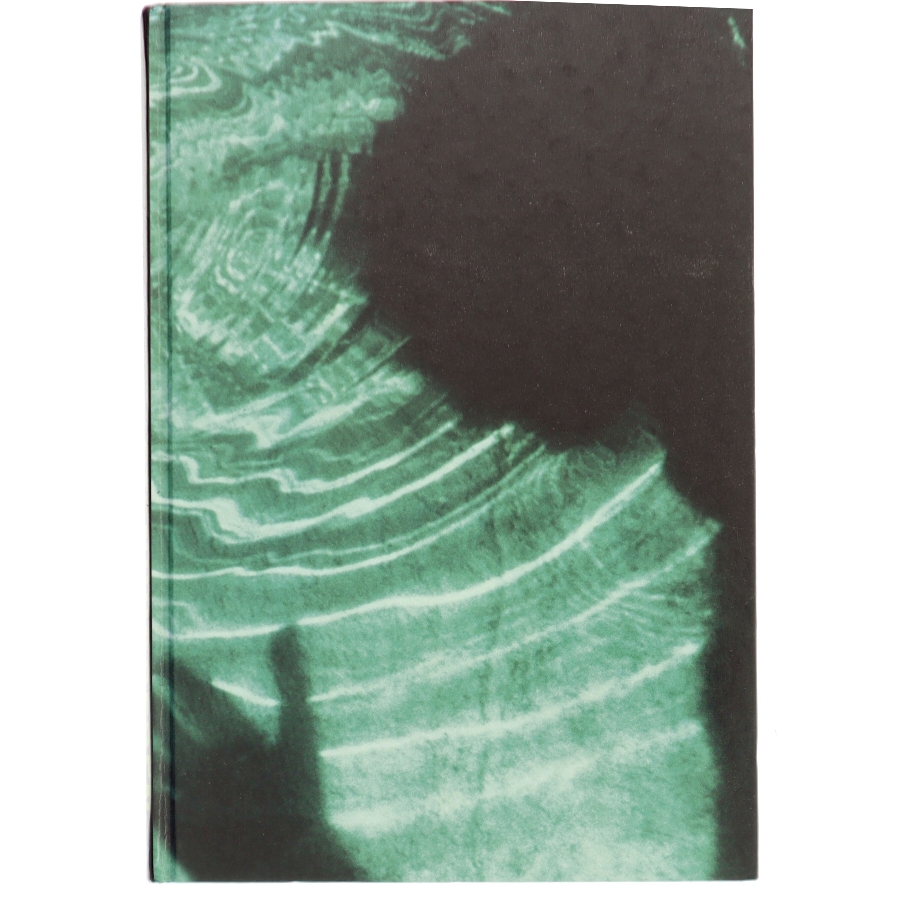 Stenhuggeren af Camilla Läckberg (Bog)