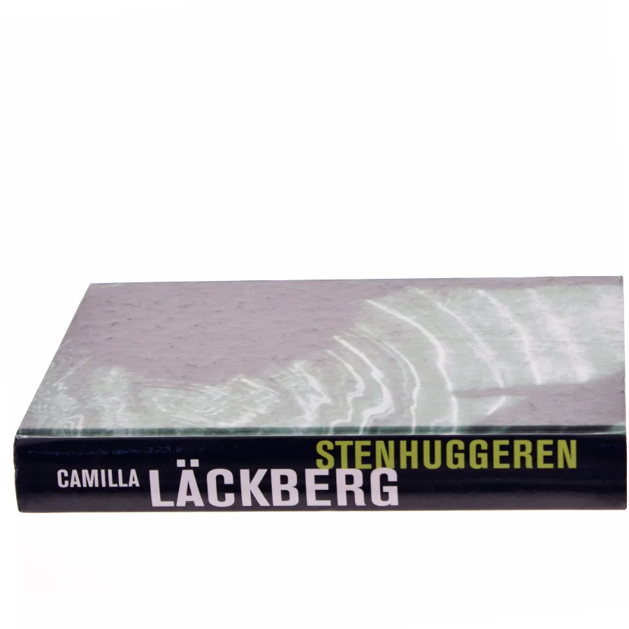 Stenhuggeren af Camilla Läckberg (Bog)