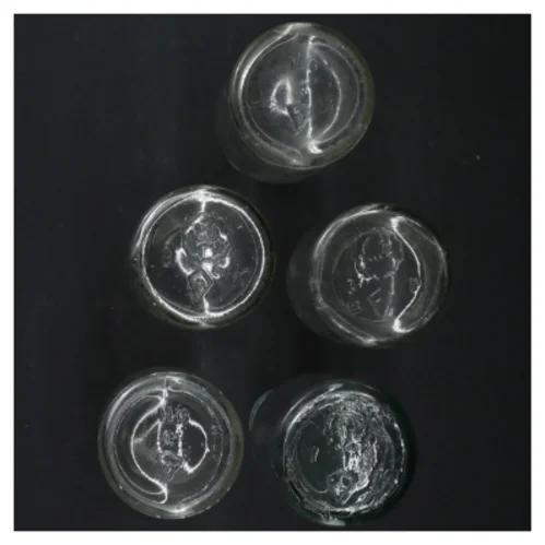 5 Genbrugsglasflasker (str. H. 19 cm. 250 ml)