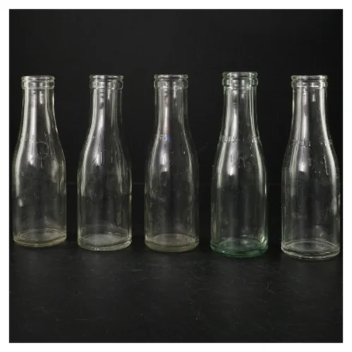 5 Genbrugsglasflasker (str. H. 19 cm. 250 ml)