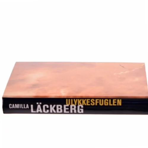 Ulykkesfuglen af Camilla Läckberg (Bog)