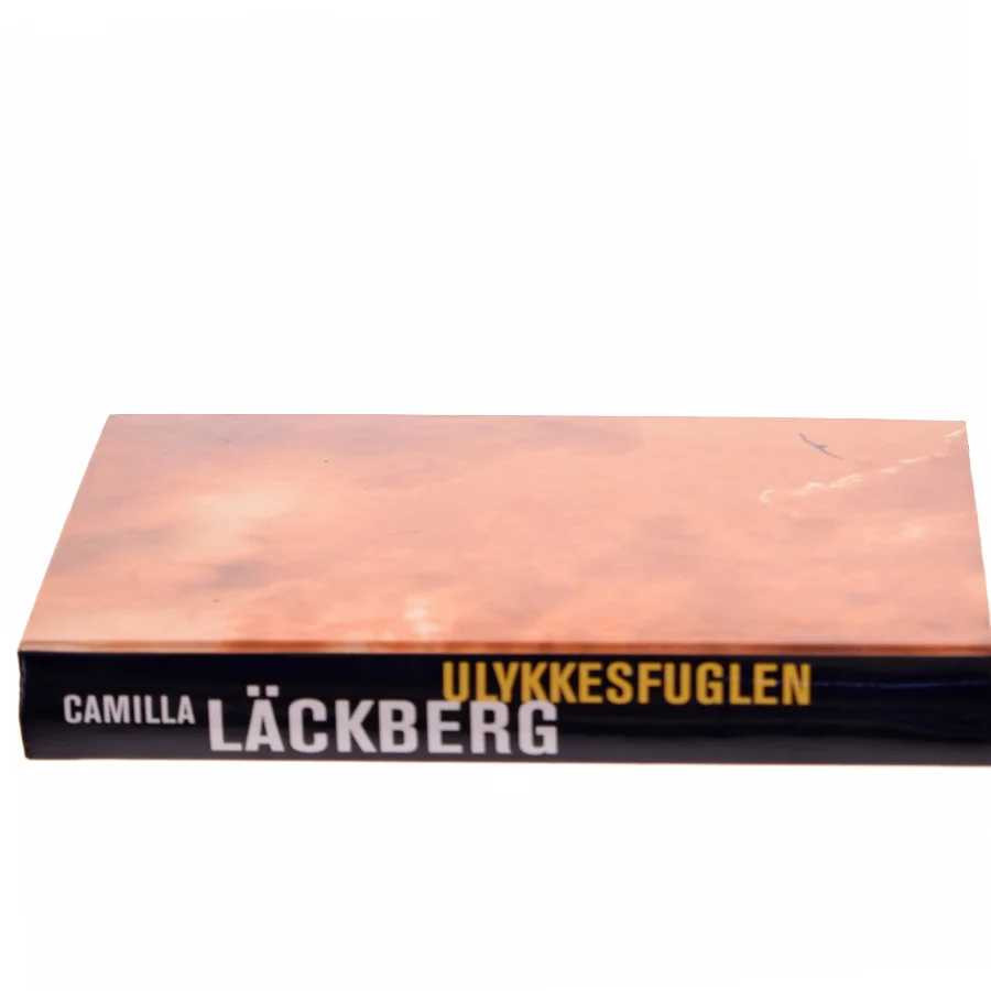 Ulykkesfuglen af Camilla Läckberg (Bog)