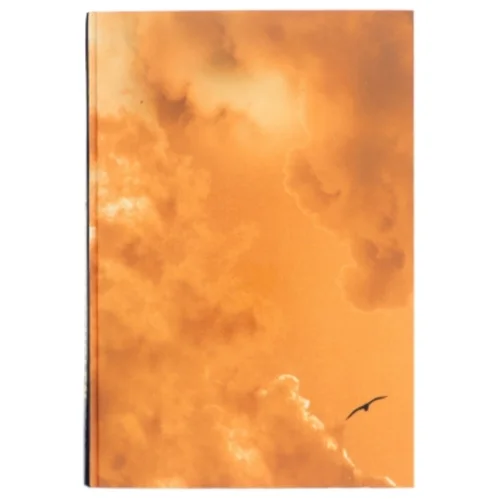 Ulykkesfuglen af Camilla Läckberg (Bog)