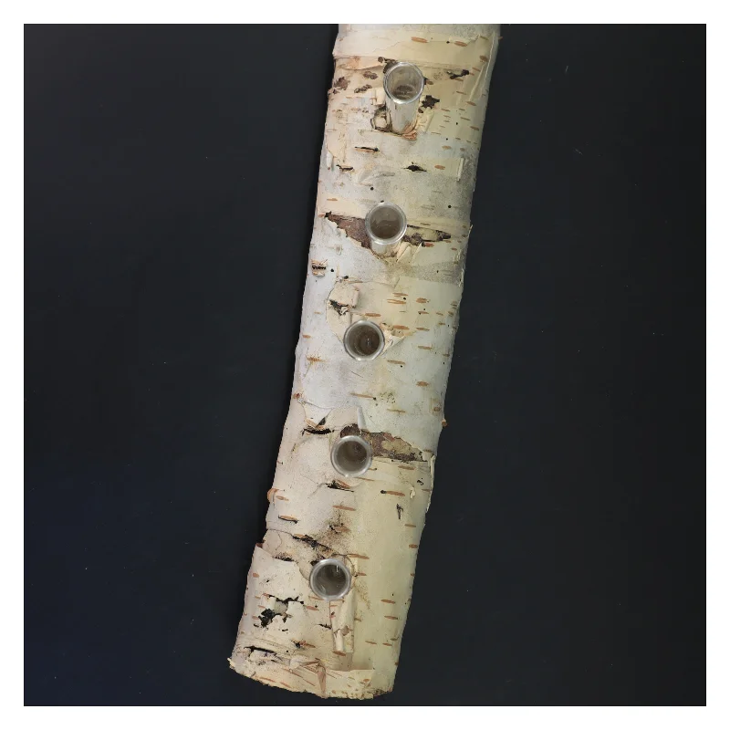 Unik blomsterholder i birketræ med reagensglas (str. 35x21 cm)