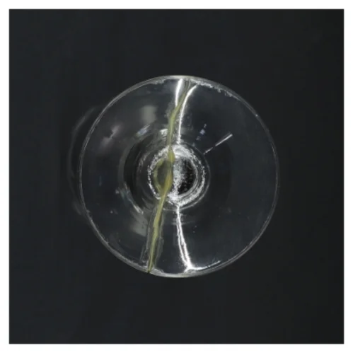 Stort glas med slebet mønster (str. 23 x 9 cm)