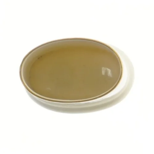 Lille porcelæns beholder evt tandstikker (str. 5,5 cm) fra KPM