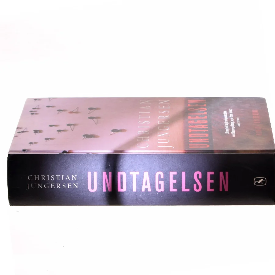 Undtagelsen af Christian Jungersen (Bog)