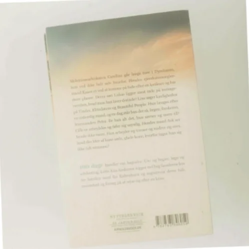 100 dage : roman af Lotte Kaa Andersen (Bog)