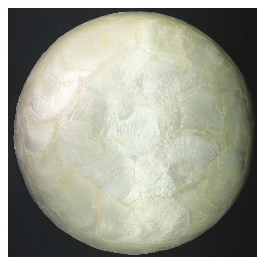 Ny Capiz Dekorativskål Ø 25 cm (str. Ø 25 cm)