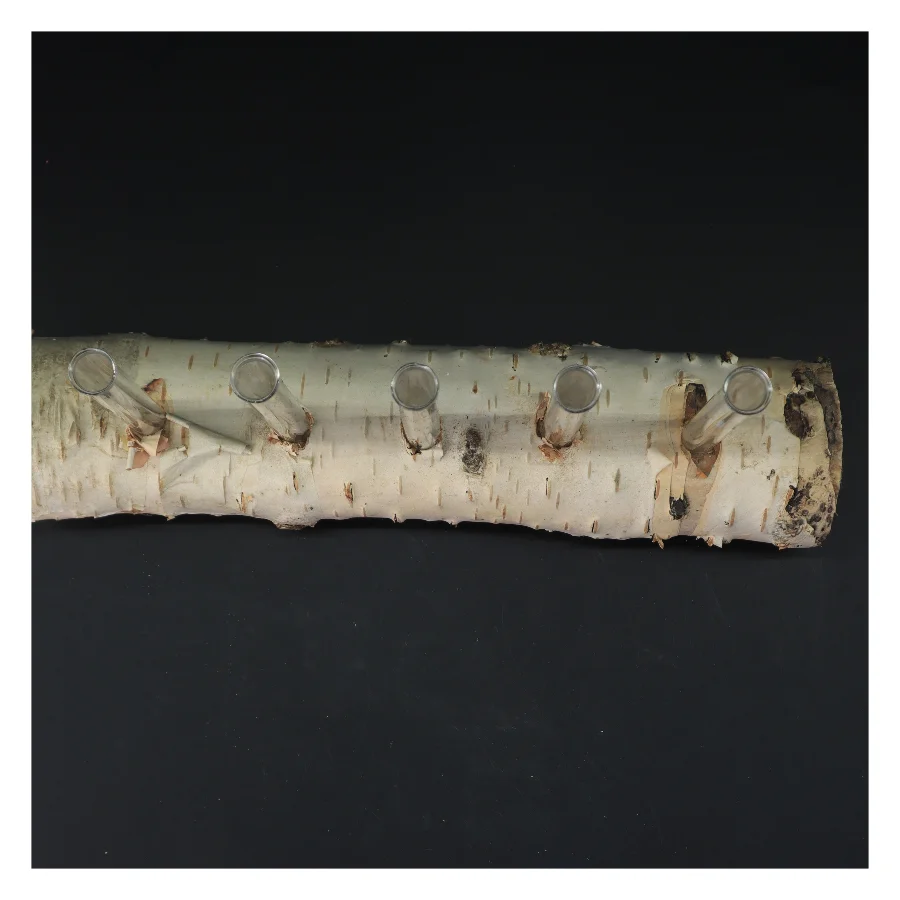 Unik blomsterholder i birketræ med reagensglas (str. 35x21 cm)