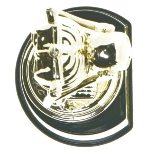 Skelet trofæ (str. 24,5 cm)