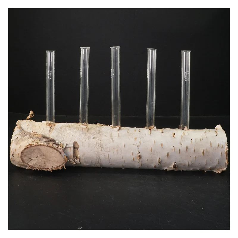 Unik blomsterholder i birketræ med reagensglas (str. 35x21 cm)