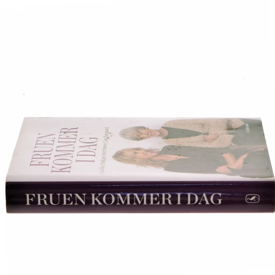 Fruen kommer i dag : Cecilie Frøkjær interviewer Lise Nørgaard (Bog)