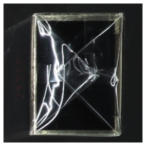 Elizabeth Arden 5th Avenue NYC Eau de Parfum fra Elizabeth Arden (str. 75 ml)