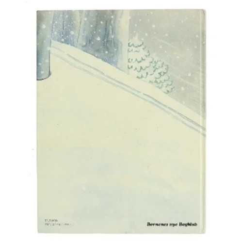 Sally Snespøgelse af Mercé Company (Bog)