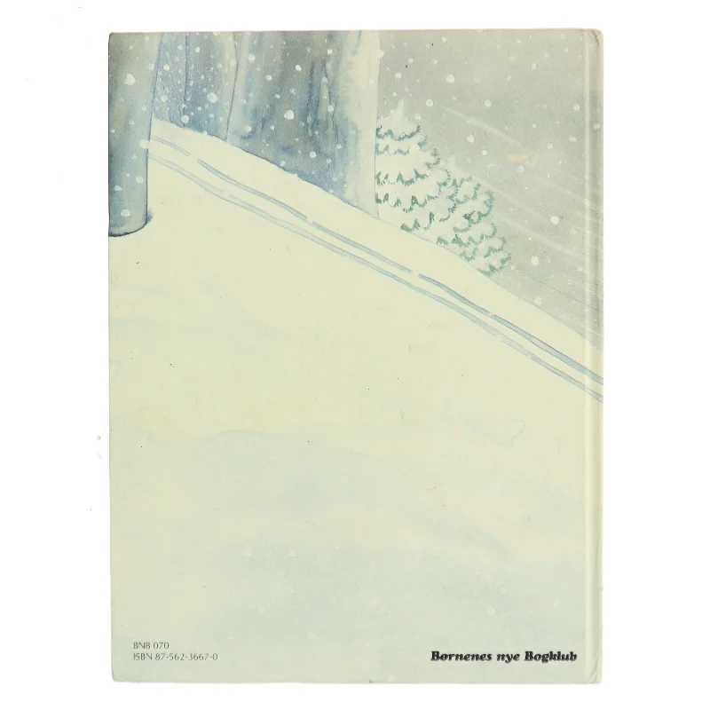 Sally Snespøgelse af Mercé Company (Bog)