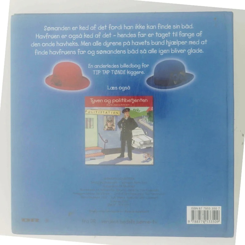 Sømanden og havfruen (Bog)