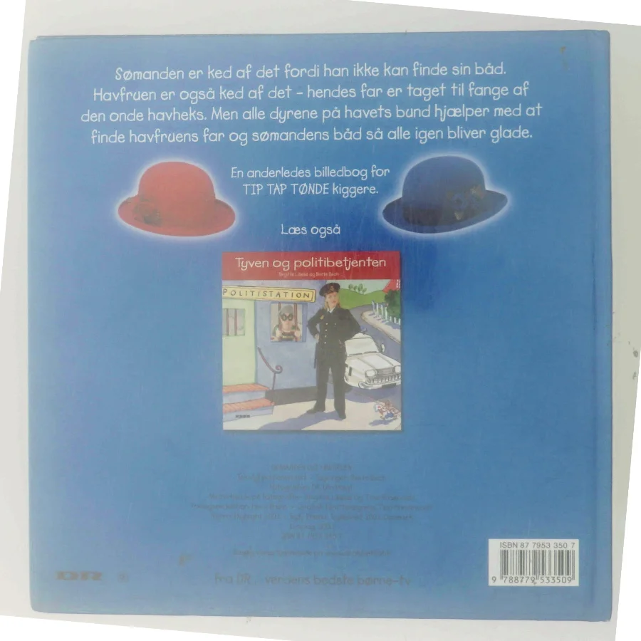 Sømanden og havfruen (Bog)