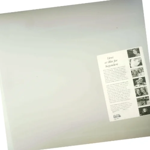 Livet er ikke for begyndere af Malene Schwartz (Bog)