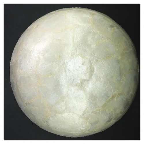 Ny Capiz Dekorativ perlemors skål (str. Ø 25 cm)